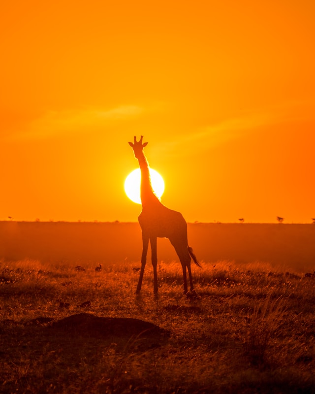 Kenya Scenic View