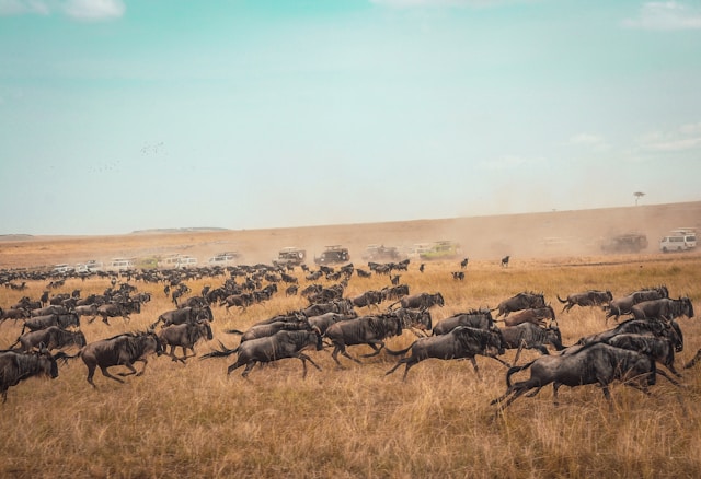 Kenya Tourist Spot 1